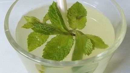 Лимонад с мятой