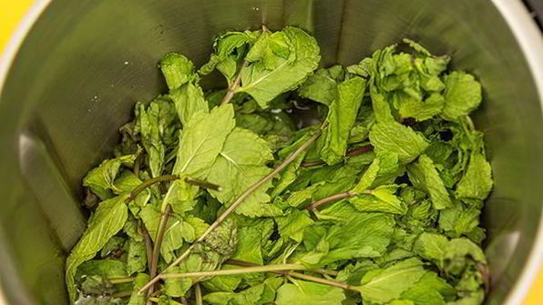 напиток мятный, концентрированный