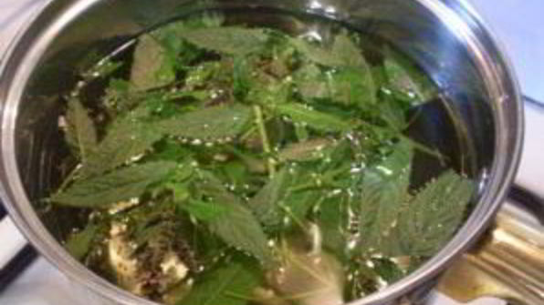 освежающий напиток из мяты