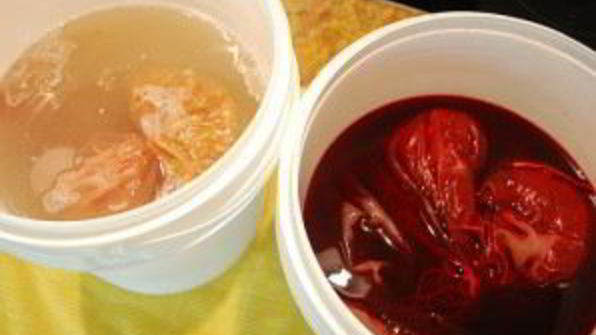 вино из сливы