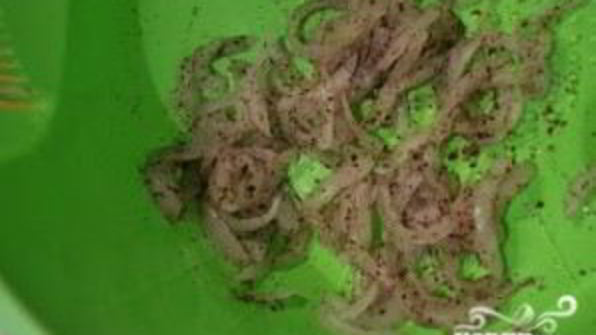 салат из белой фасоли