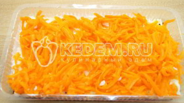 салат заливная селедка под шубой