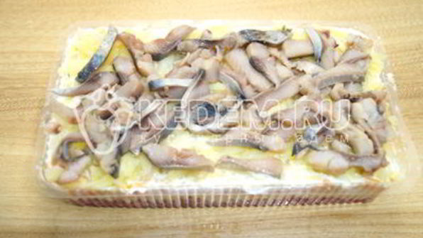 салат заливная селедка под шубой