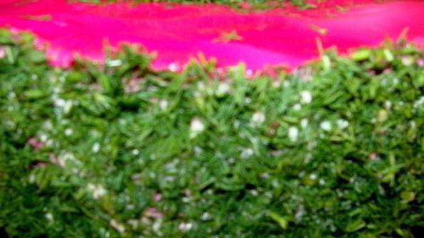 селедка под шубой новогодняя