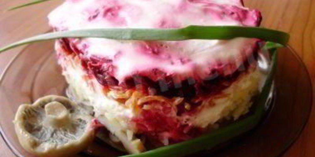 Рецепт соленых груздей пода шубоя с соевыма майонезома