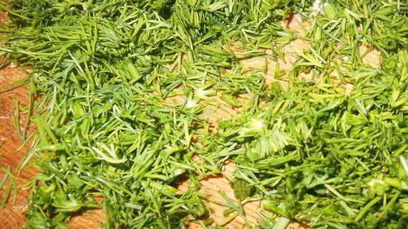 салат стройняшка