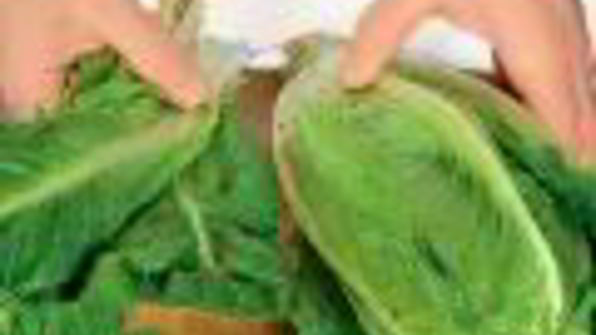 салат цезарь с индейкой на гриле