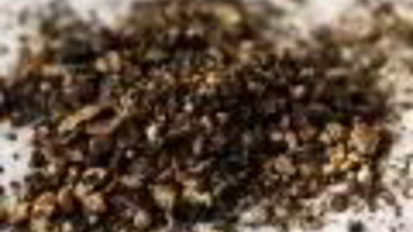 салат цезарь в томате