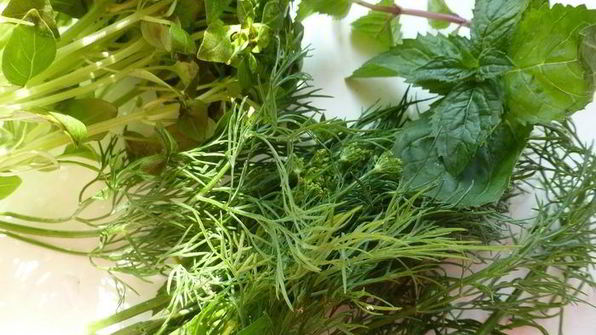 соус из жимолости к мясу