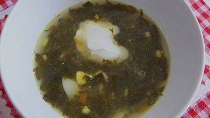 Борщ зеленый