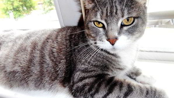 норвежский борщ с килькой