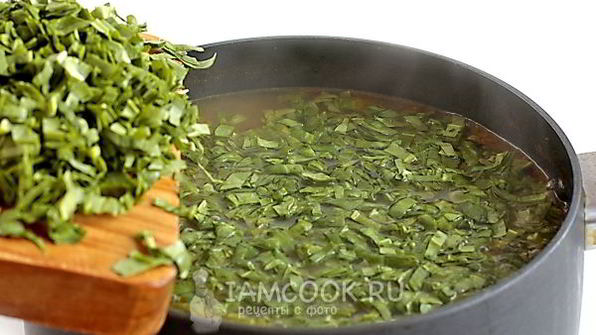 зеленый борщ с мясом