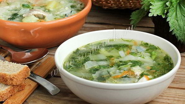 суп с крапивой на курином бульоне