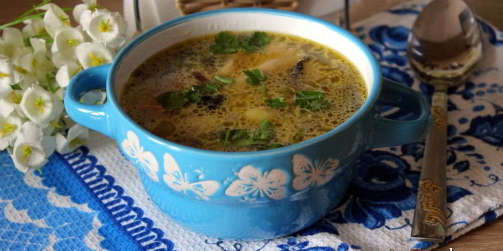 Рецепт супа с шампиньонами и фарфалле на курином бульоне