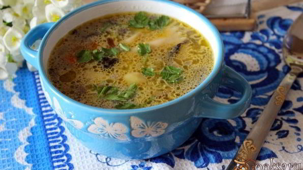 суп с шампиньонами и фарфалле на курином бульоне