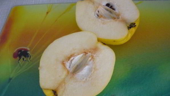 щи из квашеной капусты с белыми грибами и айвой