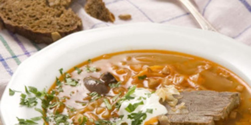 Рецепт щей из оленины с грибами