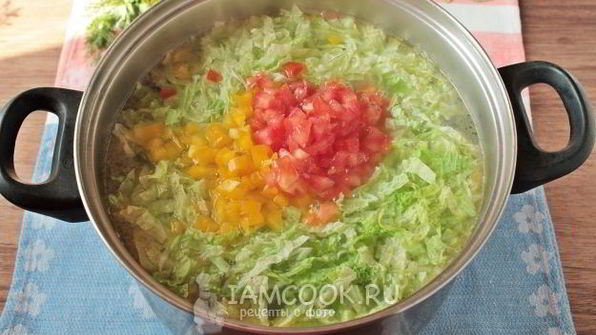 щи из пекинской капусты