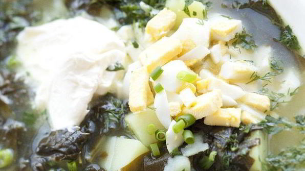 щи из щавеля