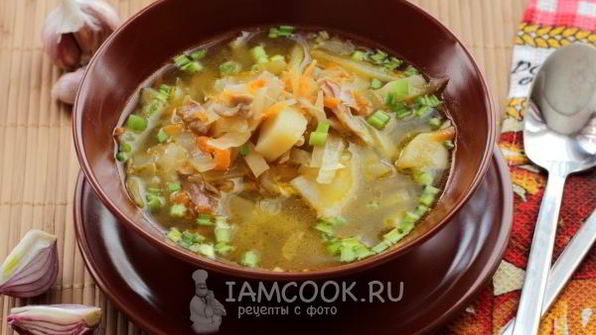 щи из свежей капусты в мультиварке