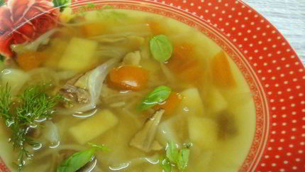 Щи на говяжьем бульоне