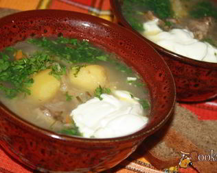 Щи с говядиной и квашеной капустой