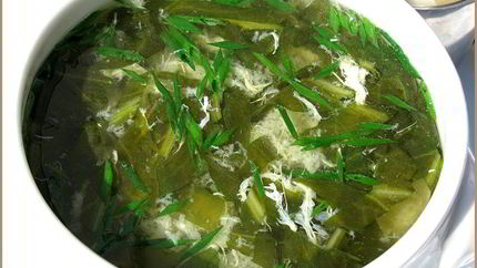 Зеленые щи с щавелем