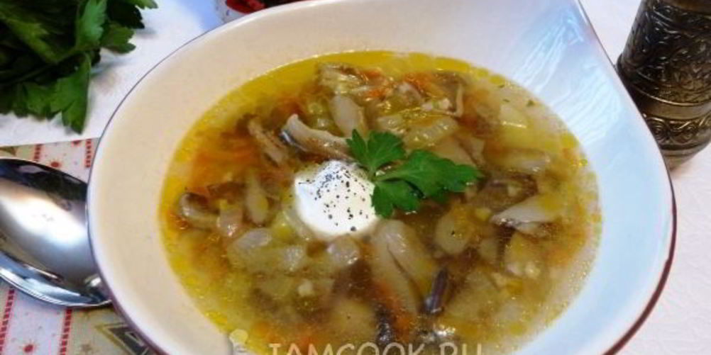 Рецепт супа из соленых грибов