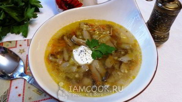 суп из соленых грибов