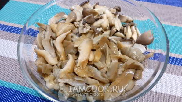 суп из соленых грибов