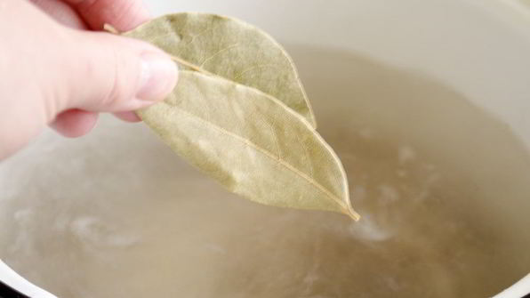 домашняя уха из пангасиуса