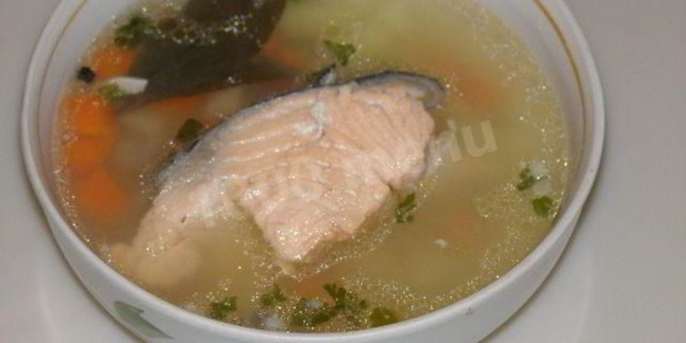 Рецепт рыбного супа уха из лосося