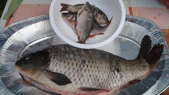 уха из карпа по-царски