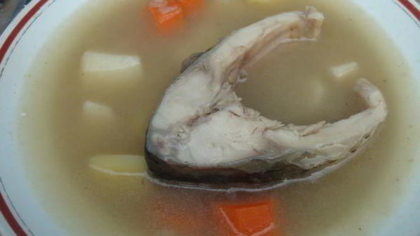 уха из карпа по-царски