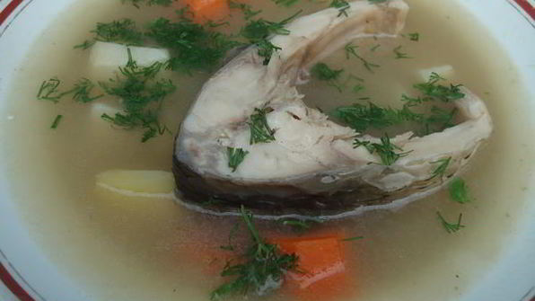 уха из карпа по-царски