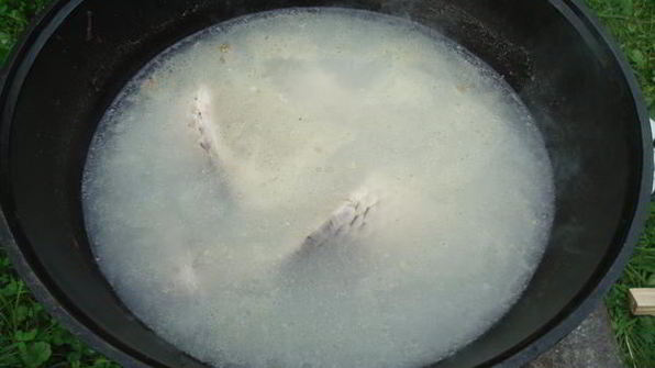 уха из карпа по-царски