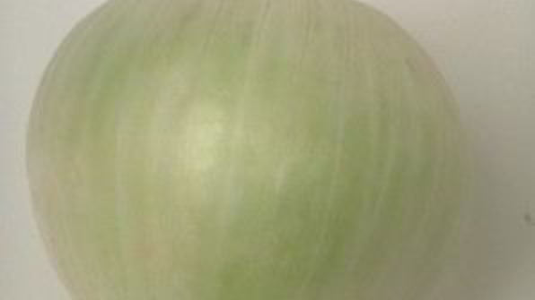 уха из карпа