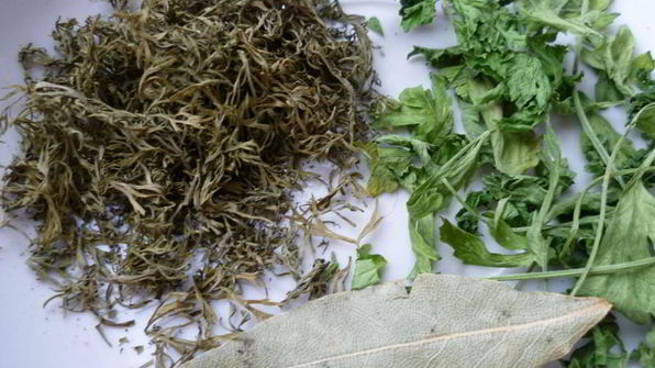 уха из скумбрии