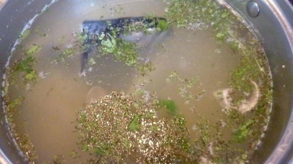 уха из скумбрии