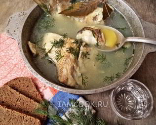 Уха из судака по-рыбацки