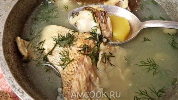 уха из судака по-рыбацки