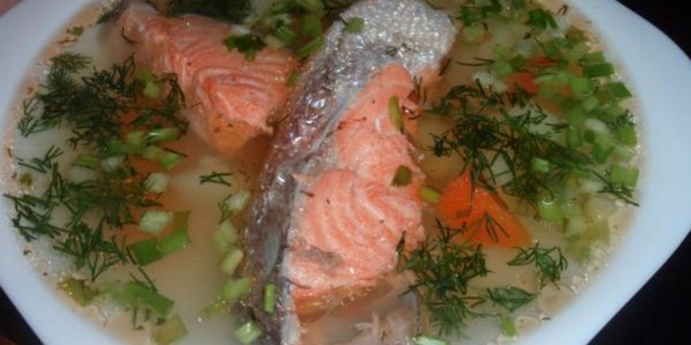 Рецепт ухи с семгой