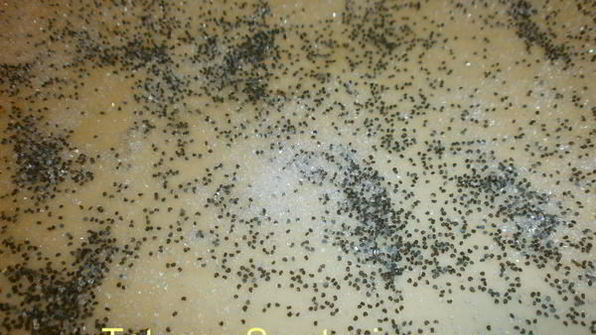 плюшки с маком