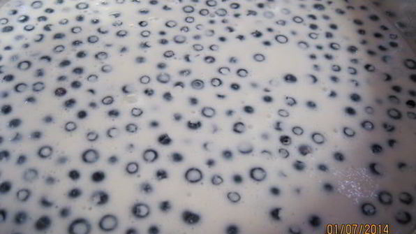 чизкейк с черникой без выпечки