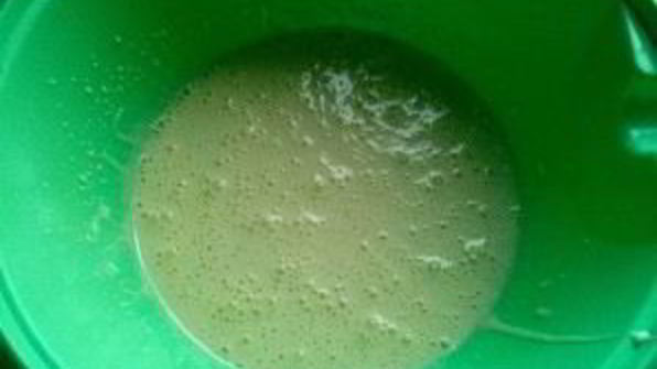 кекс пражский грош