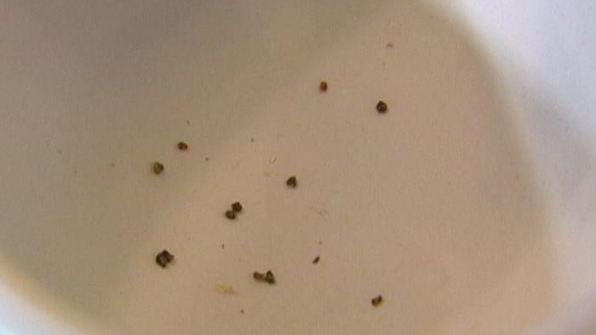 пряный имбирный кекс с черносливом и кленовым сиропом