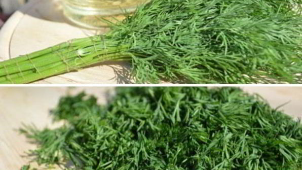 чалпак — узбекские лепешки