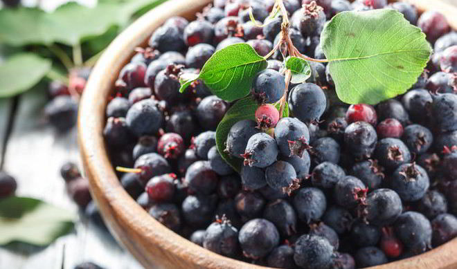 Пирог с иргой