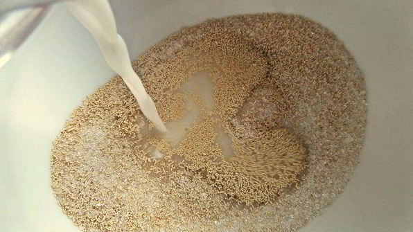 сырный пирог-рулет