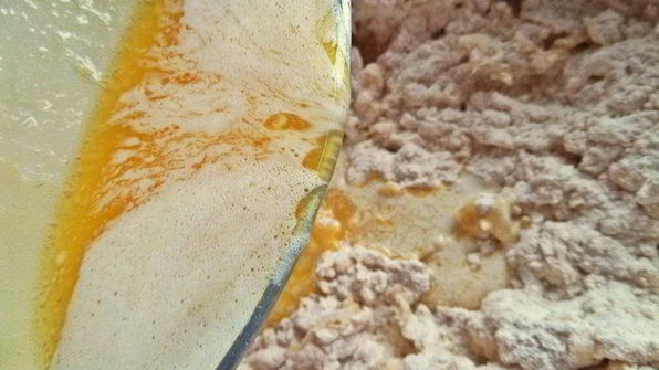 сырный пирог-рулет